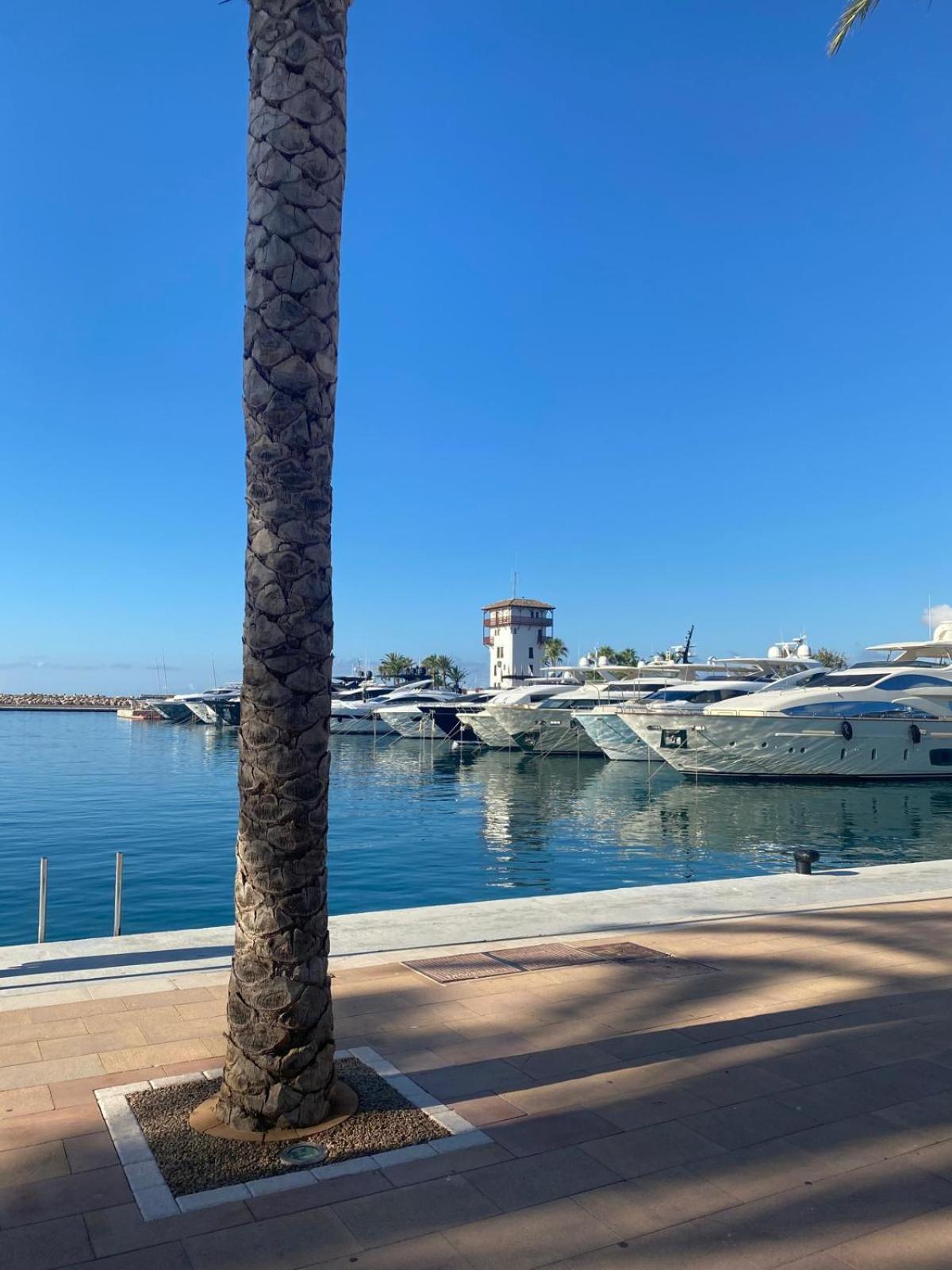 Apartment Felmin Portals Nous (Mallorca)