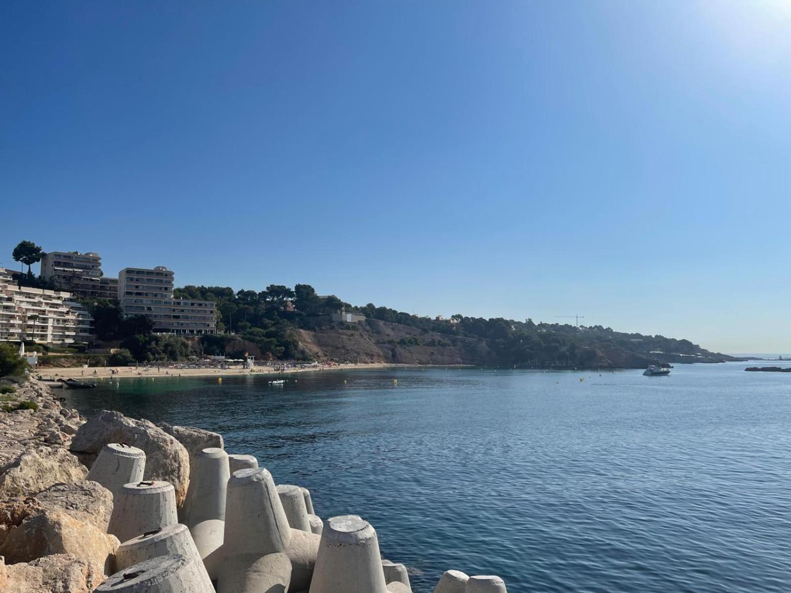 Apartment Felmin Portals Nous (Mallorca)